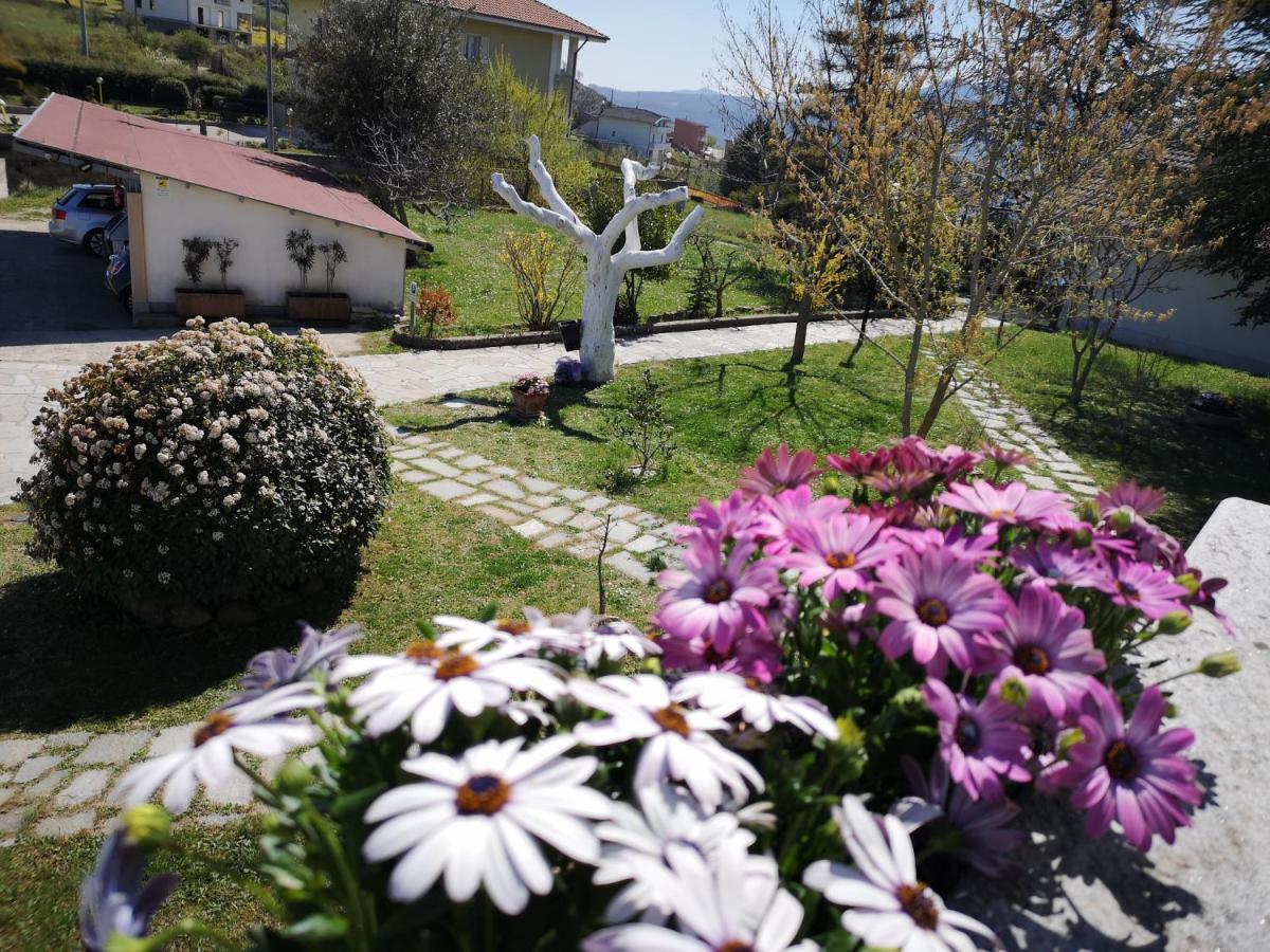 Gianmaria B&B Tricarico ภายนอก รูปภาพ